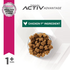 Eukanuba croquettes – DHA et vitamine E pour soutenir la fonction cérébrale.