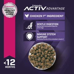 Eukanuba Premier ingrédient poulet – croquettes en premier plan, source protéique de qualité.