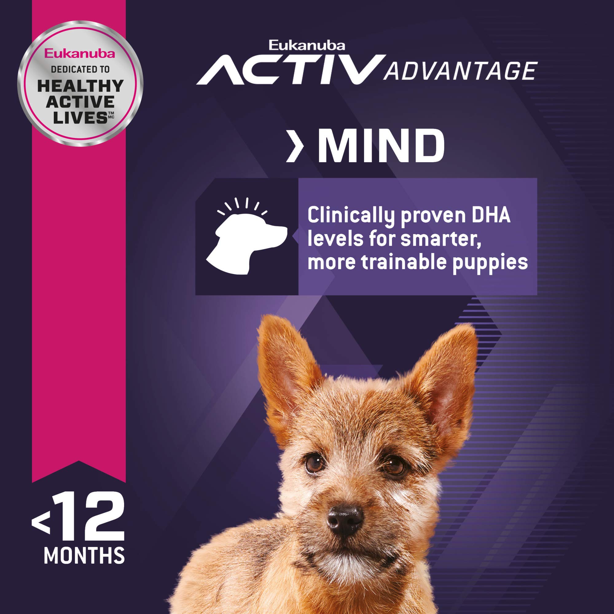 Énergie concentrée pour chiots en croissance avec Eukanuba Puppy Small Breed.