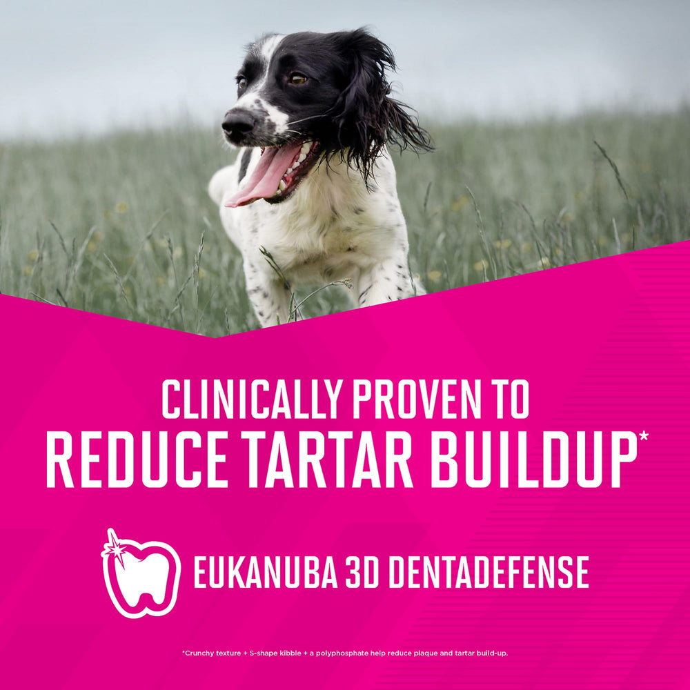 Eukanuba Senior chiens âgés: soutien à l’activité et au bien-être