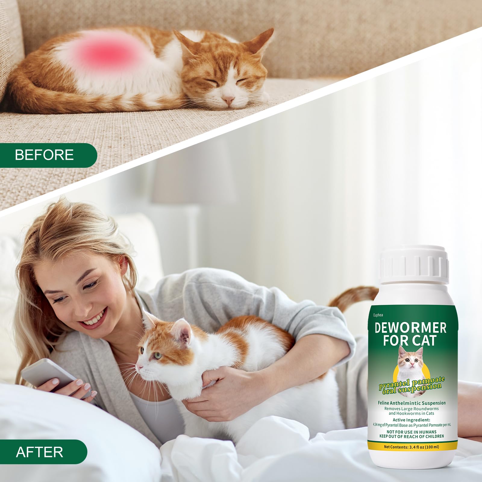 Chat acceptant la suspension mélangée à une petite portion de nourriture.