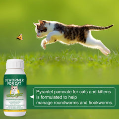 Suspension aromatisée caramel au beurre, facilement acceptée par les chats.