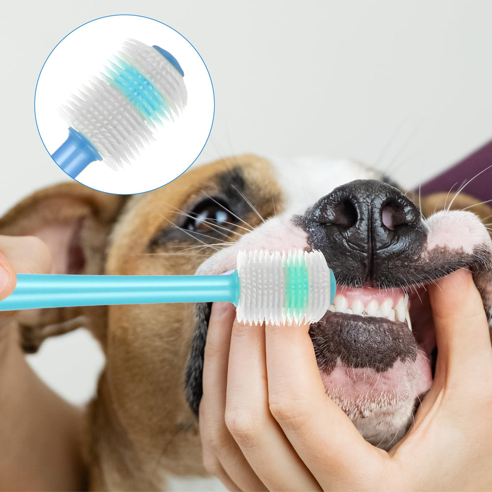 Brosse EupHHonycs douce, poils ultra-doux et densité élevée.