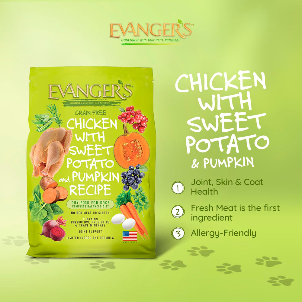 Croquettes Evanger's poulet patate douce courge, texture croquante pour repas quotidiens.