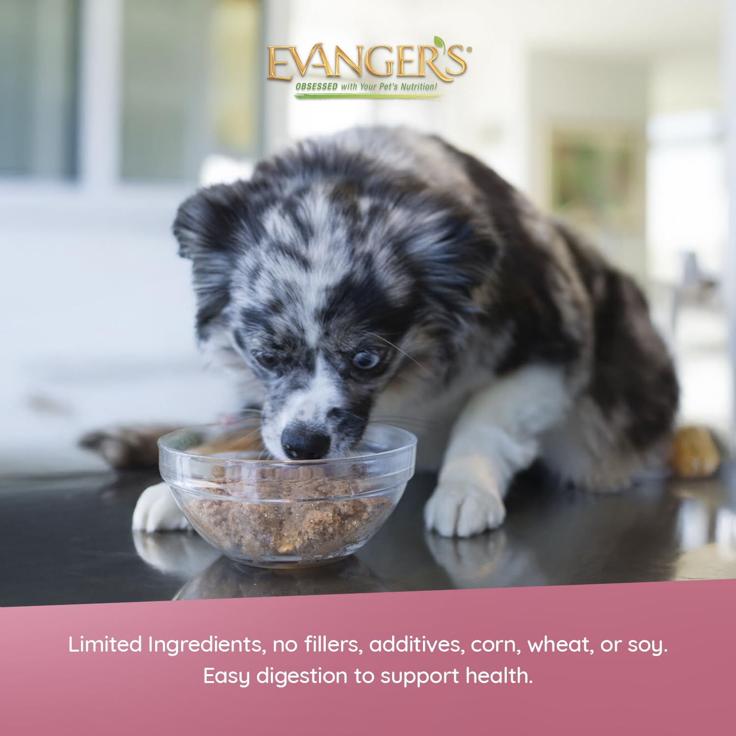 Repas complet Evanger's Heritage Classic Puppy prêt à être servi.