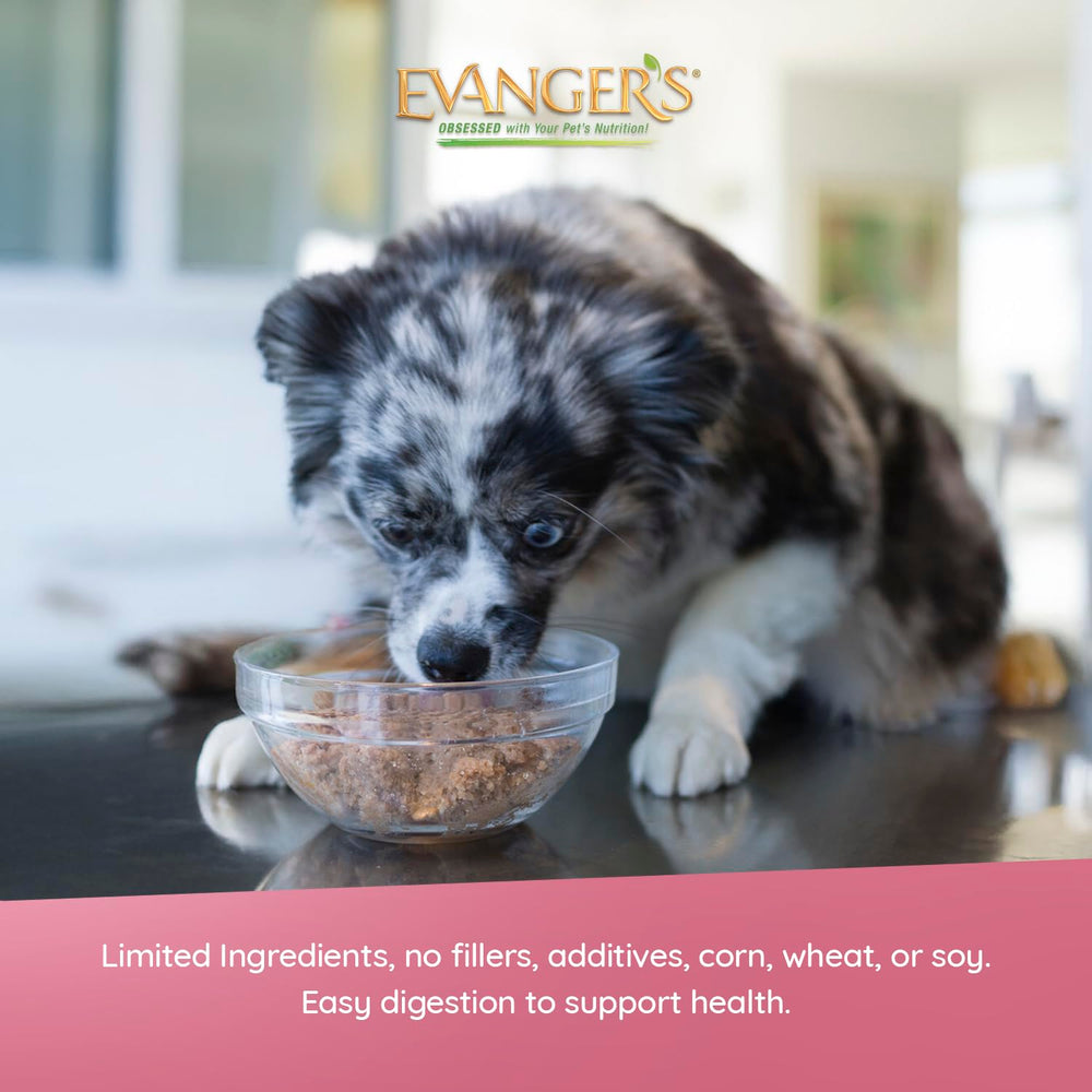 Repas complet Evanger's Heritage Classic Puppy prêt à être servi.