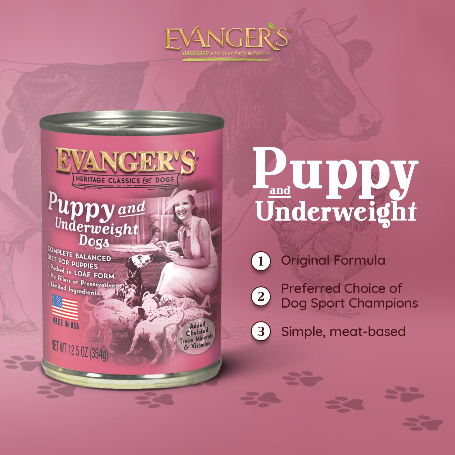 Gros plan sur la texture de poulet en terrine Evanger's Heritage Classic pour chiots.