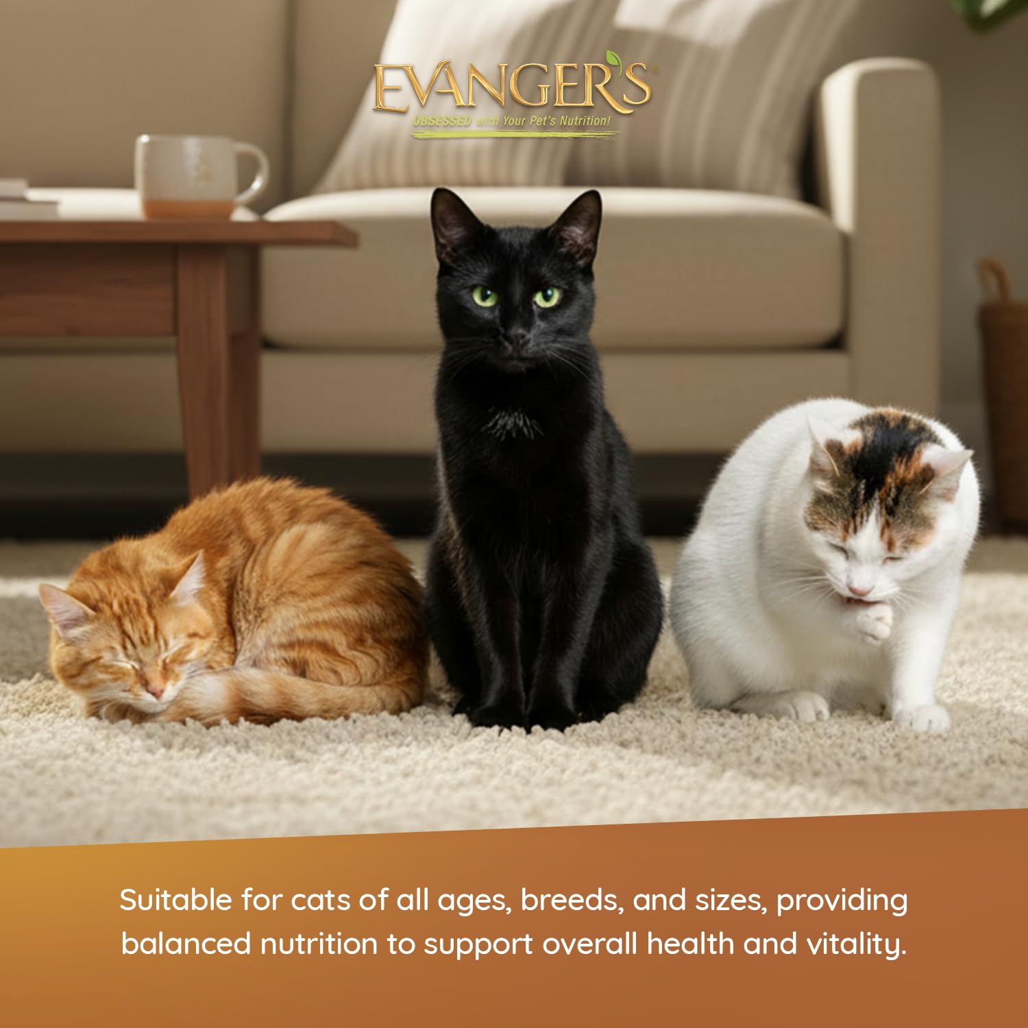 Evanger's Heritage Classics emballage sans BPA — boîte fiable et pratique pour plusieurs chats.