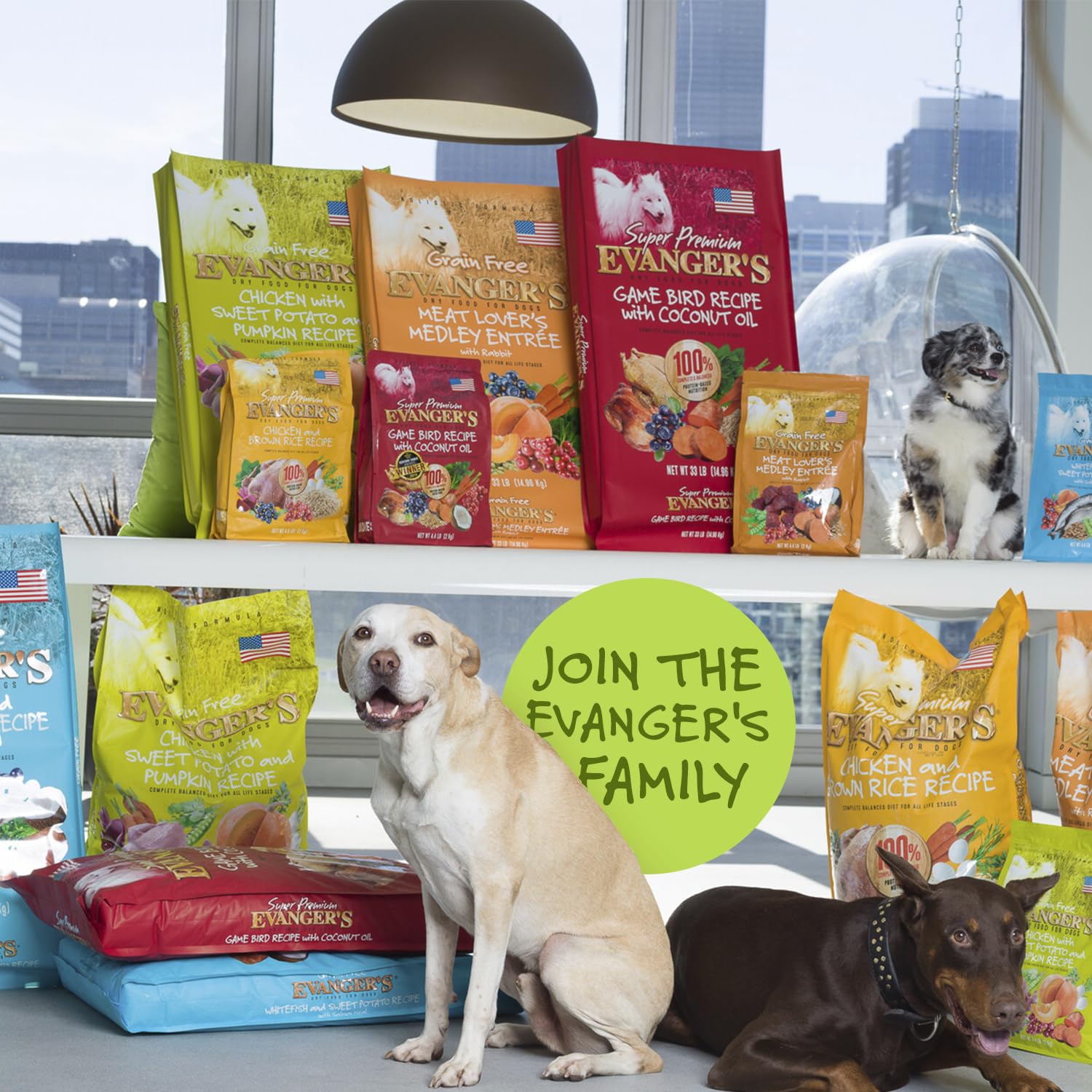 Repas quotidien équilibré Evanger's pour chiens actifs.