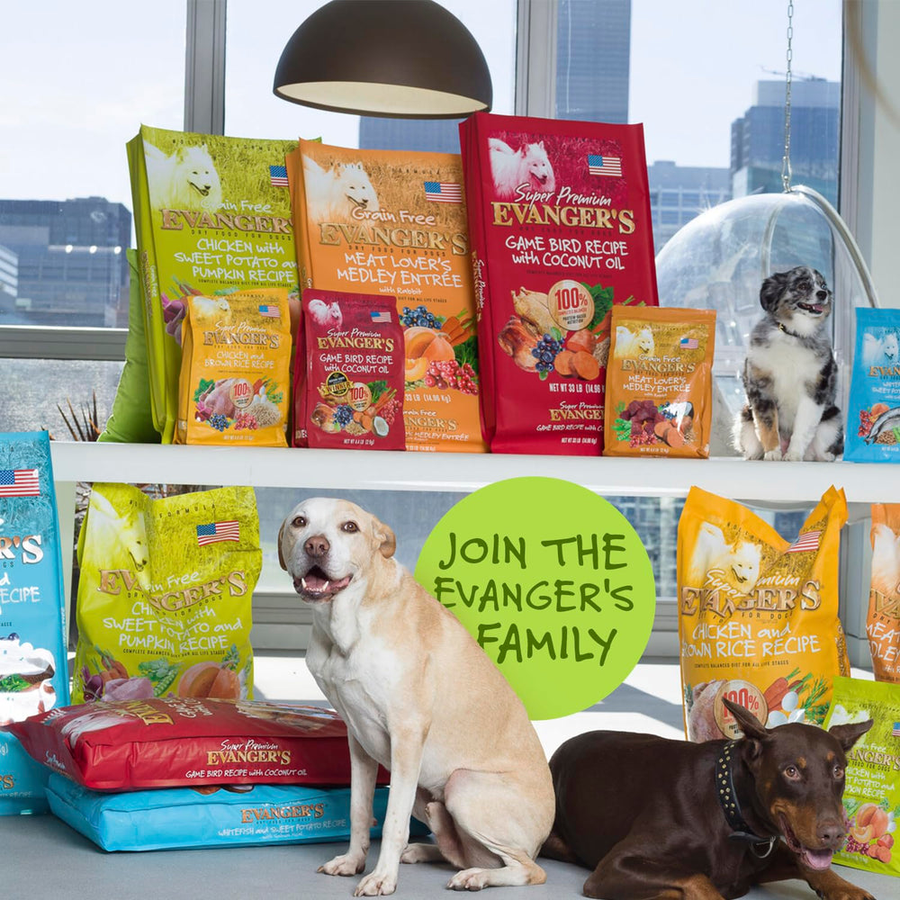 Repas quotidien équilibré Evanger's pour chiens actifs.