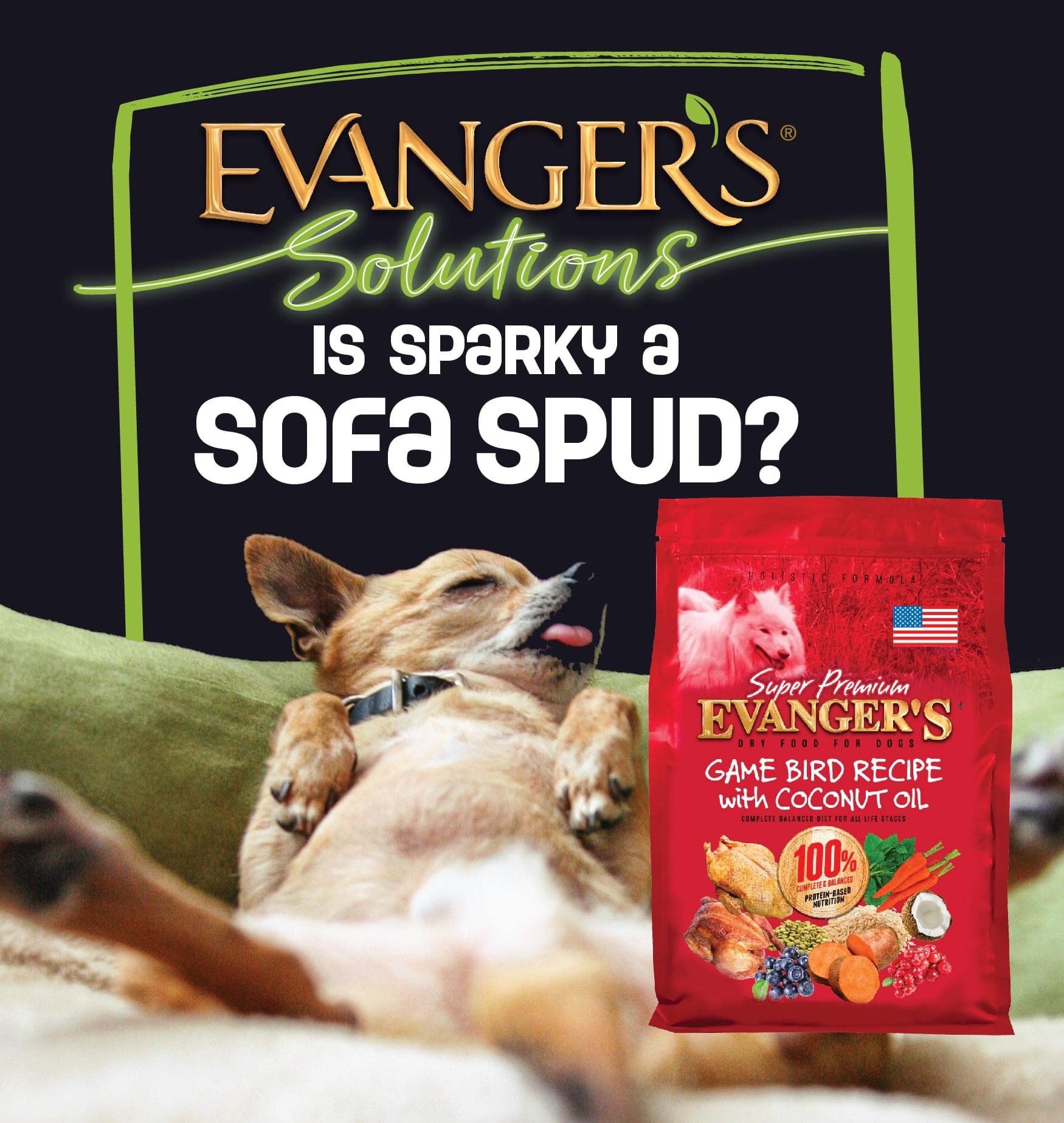 Evanger’s digestion équilibre, soutien potentiel à l’assimilation des nutriments.