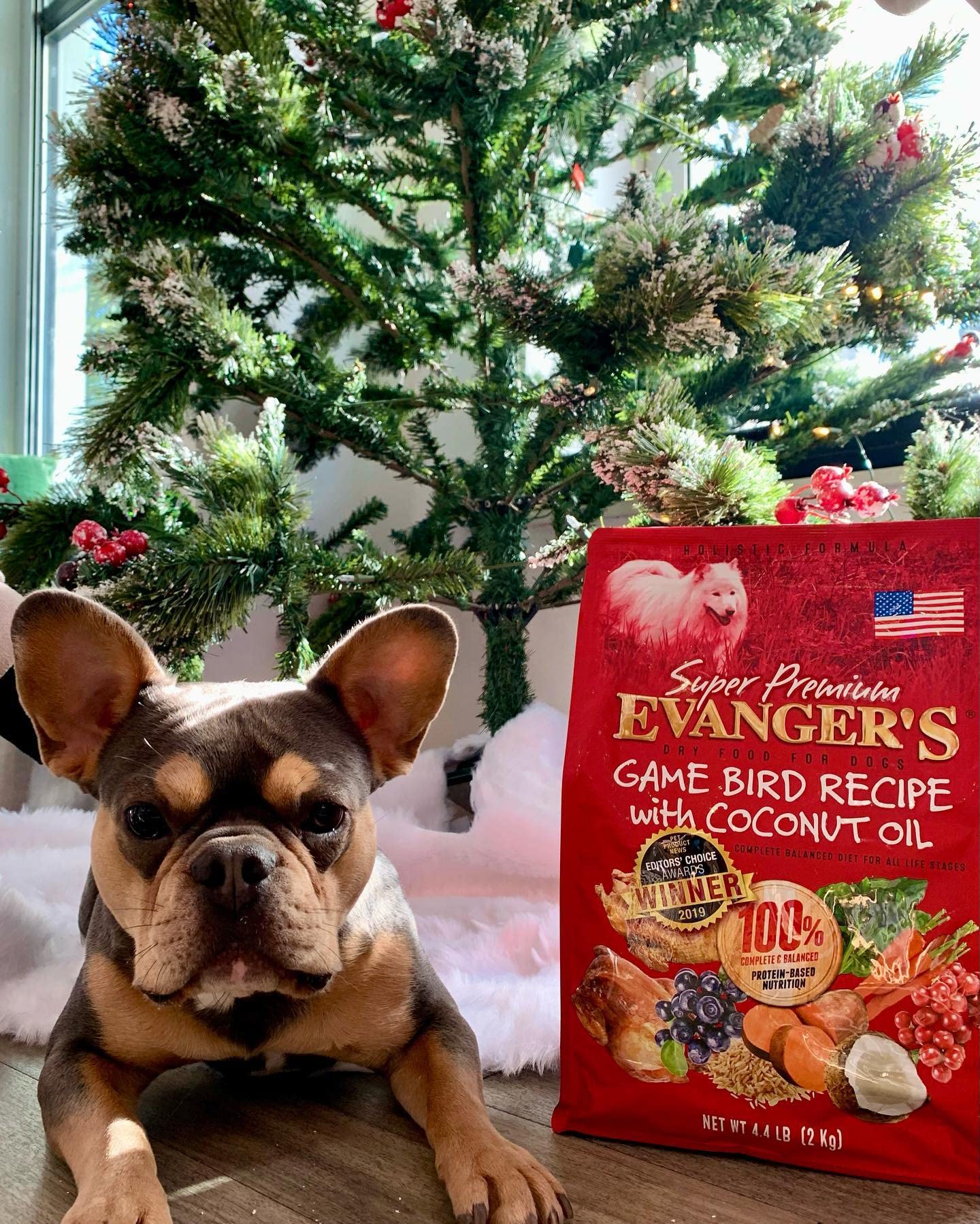 Evanger’s peau et poil brillants grâce à une nutrition ciblée.