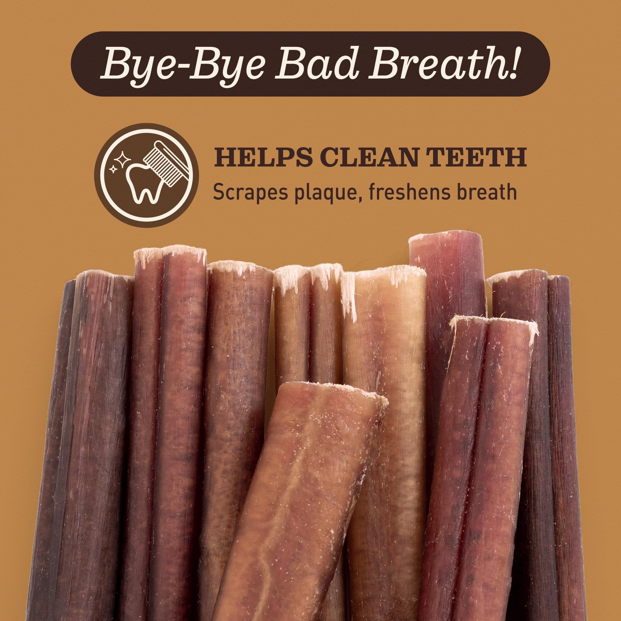 Ever Farm bully-stick dentition: soutien potentiel à l'hygiène dentaire lors des sessions.
