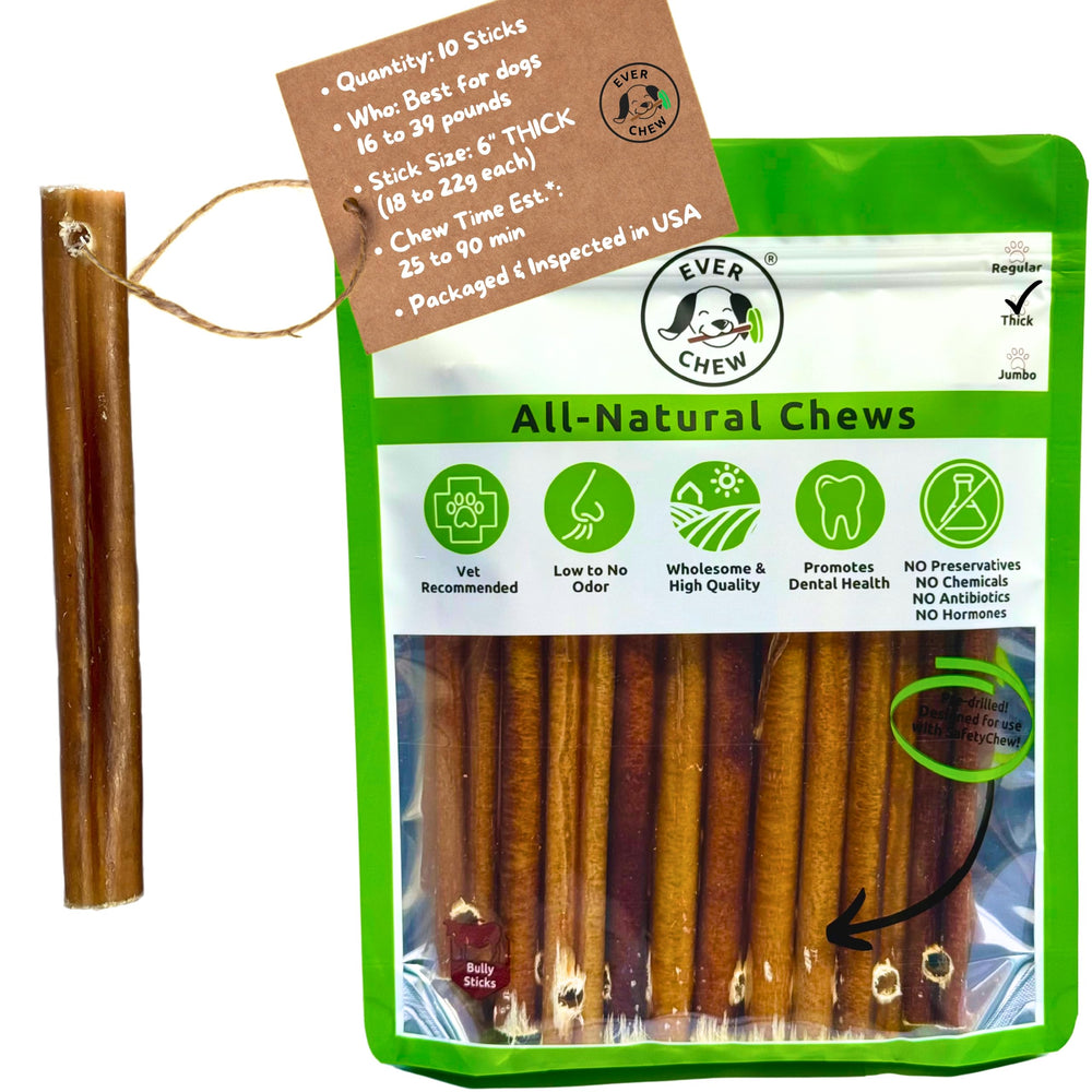 EverChew bâton 6pouces-recharges, faible odeur, enrichissement et mastication sécurisée.