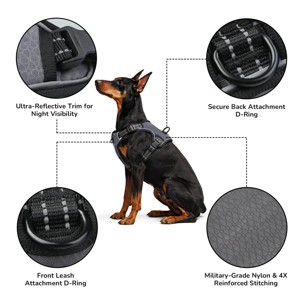 Everking harnais ajustable pour chien, ajustement sûr et confortable.
