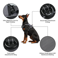 Everking harnais ajustable pour chien, ajustement sûr et confortable.