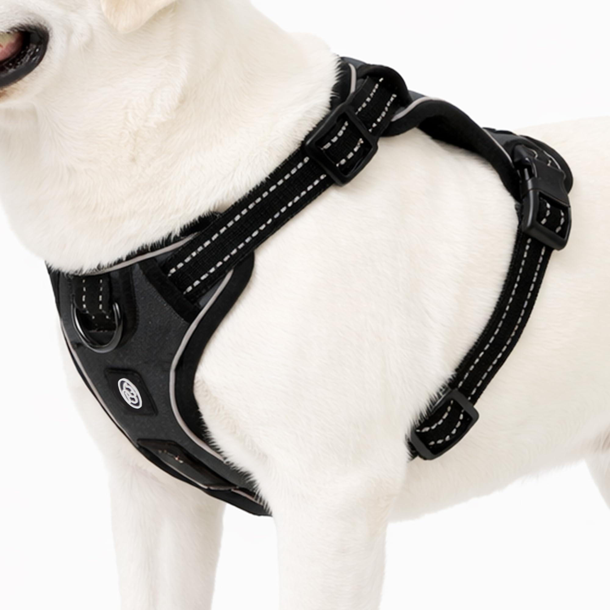 Everking harnais respirant pour chien, pratique et confortable lors des sorties.