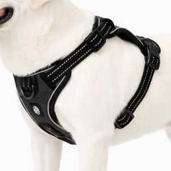Everking harnais respirant pour chien, pratique et confortable lors des sorties.