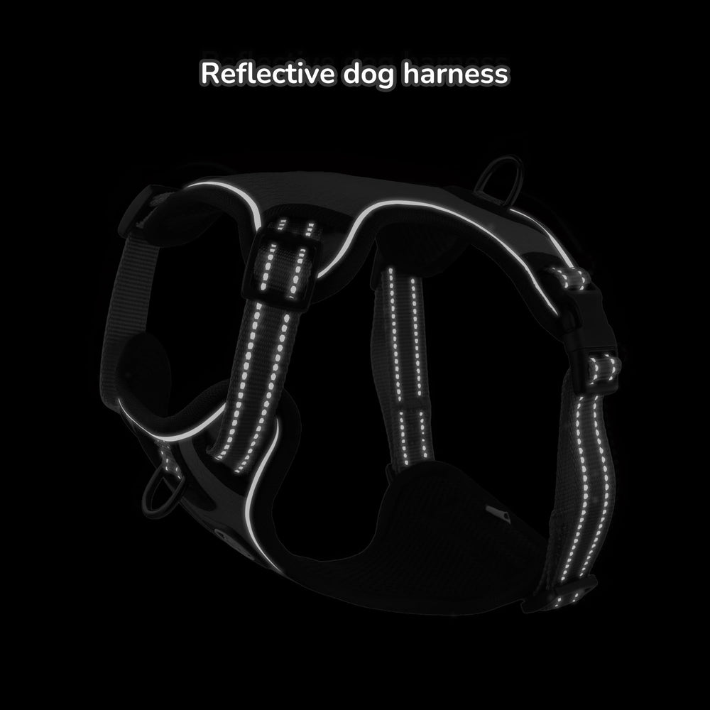 Everking harnais usage quotidien pour chien, idéal pour entraînement et promenades.