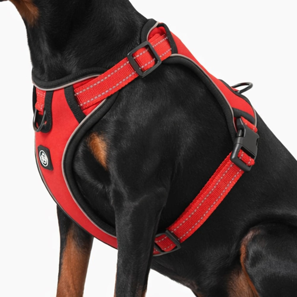 Everking harnais-gilet-chien-respirant pour promenades confortables et ventilées.