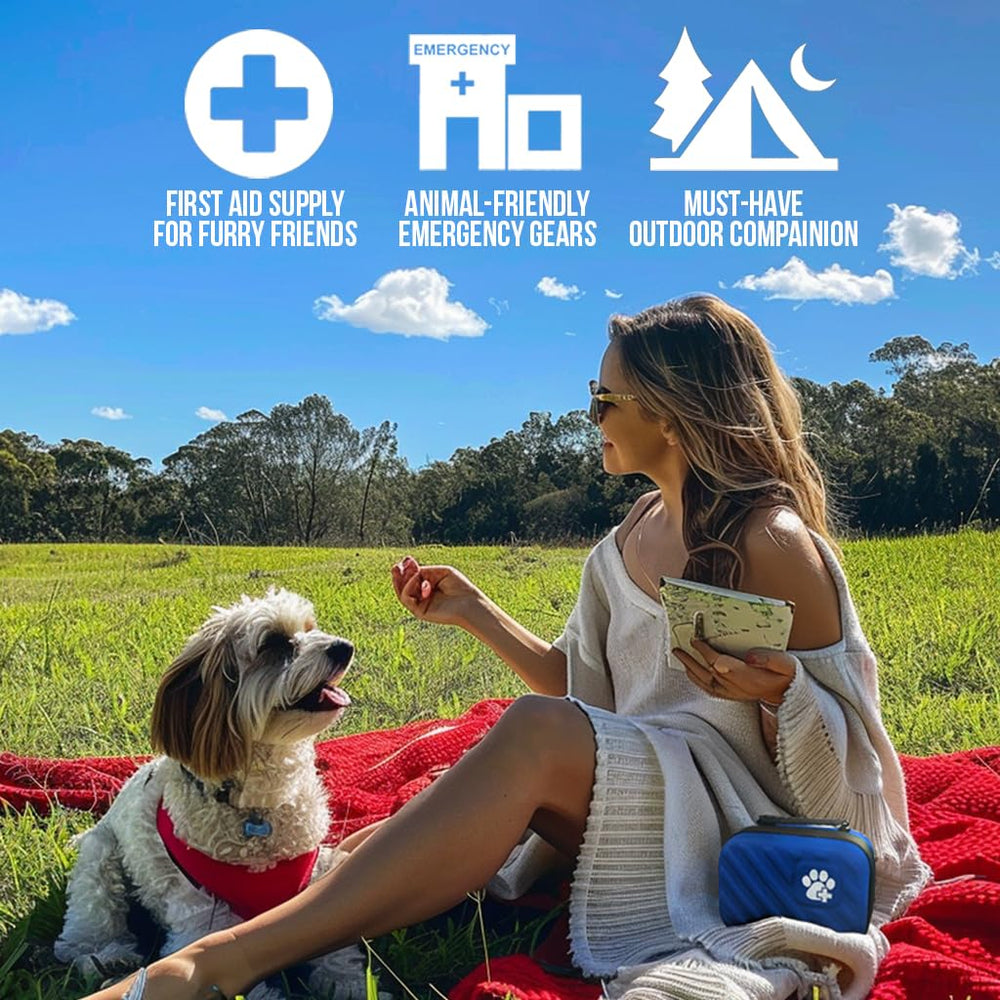  Packs de glace Everlit Care pour le refroidissement et le confort des animaux