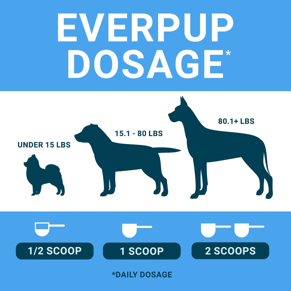 Soutien des articulations et des hanches avec EverPup pour chiens actifs.