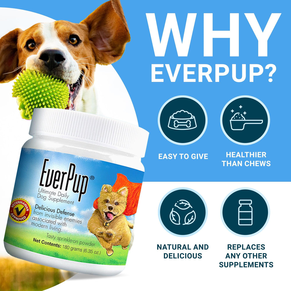 Probiotiques et enzymes EverPup – soutien digestif potentiel pendant le repas.