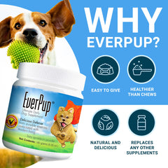 EverPup poudre-prebiotiques: aide possible à la digestion et équilibre intestinal.