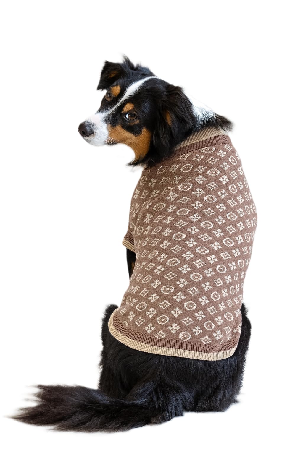 Everything Chic pull-chien-doudou-doux: sensation câline et agréable au toucher.