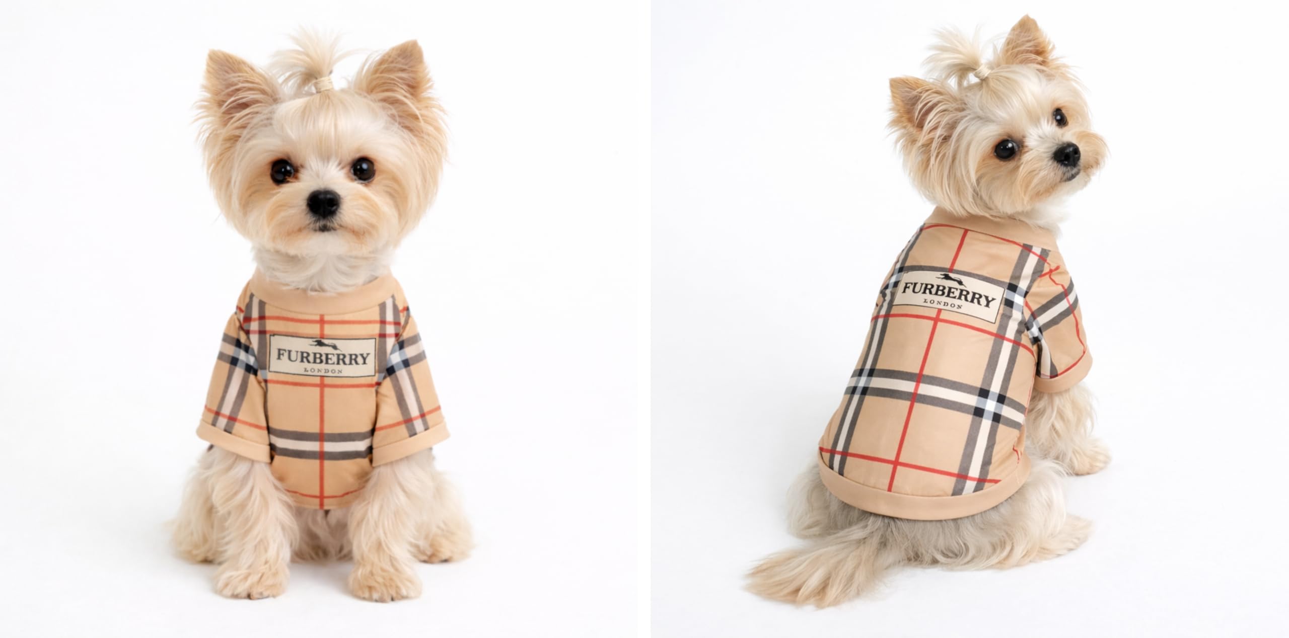 Everything Chic t-shirt chien luxe : ajustement parfait pour petits chiens.