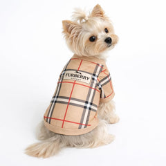 Everything Chic t-shirt chien luxe : mannequin chien nain affiche élégance et style.