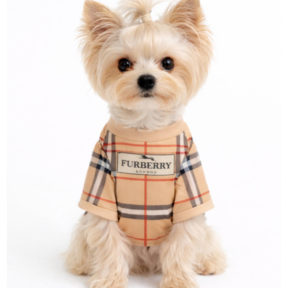Everything Chic t-shirt chien luxe : vue portée petit chien pour ajustement confortable.