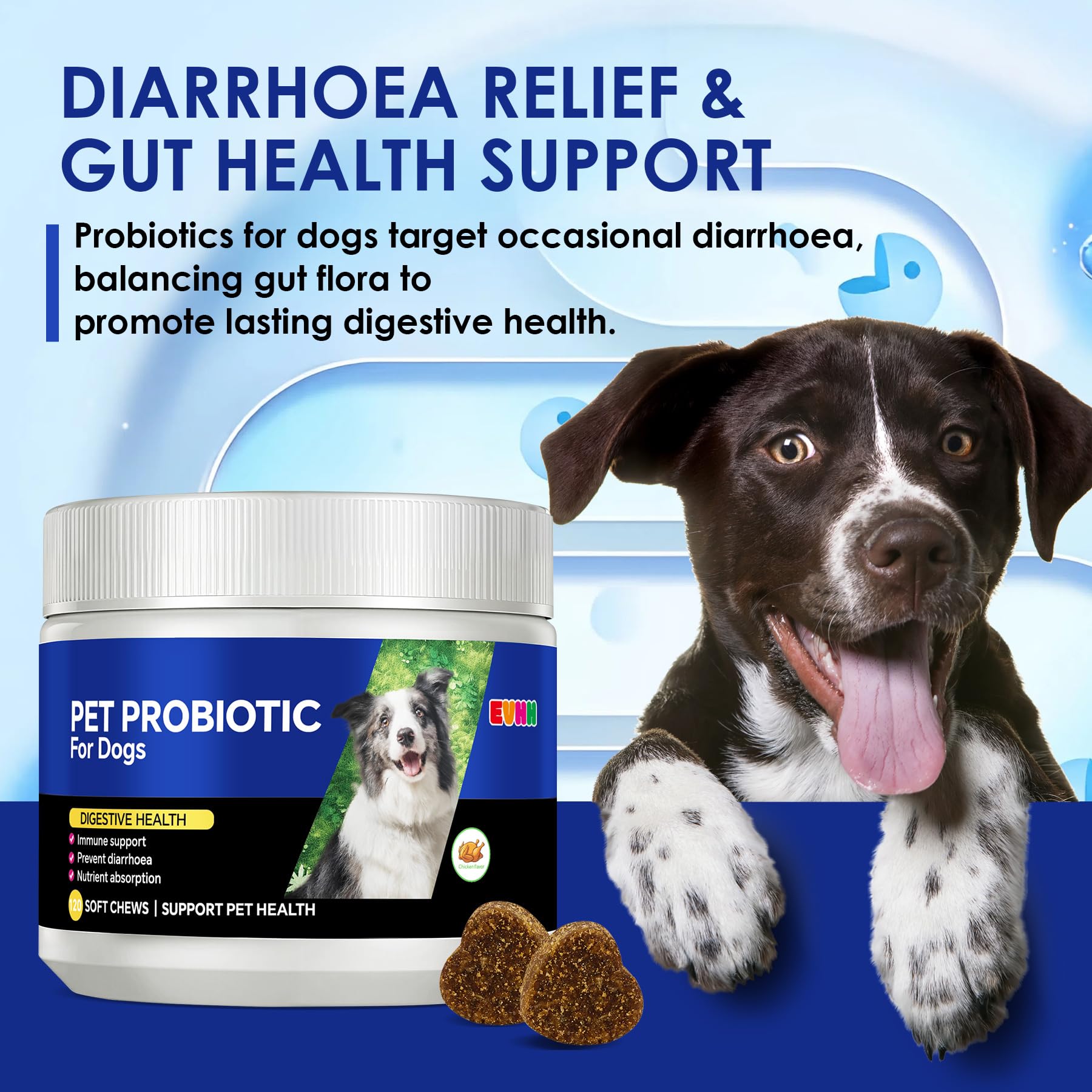 EVHH Probiotiques pour chiens – boîte 120 gommes, approvisionnement durable.