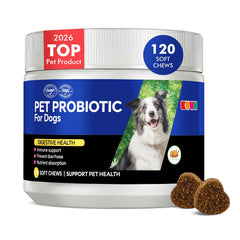 EVHH Probiotiques pour chiens – flacon et dosage, soutien digestif quotidien.