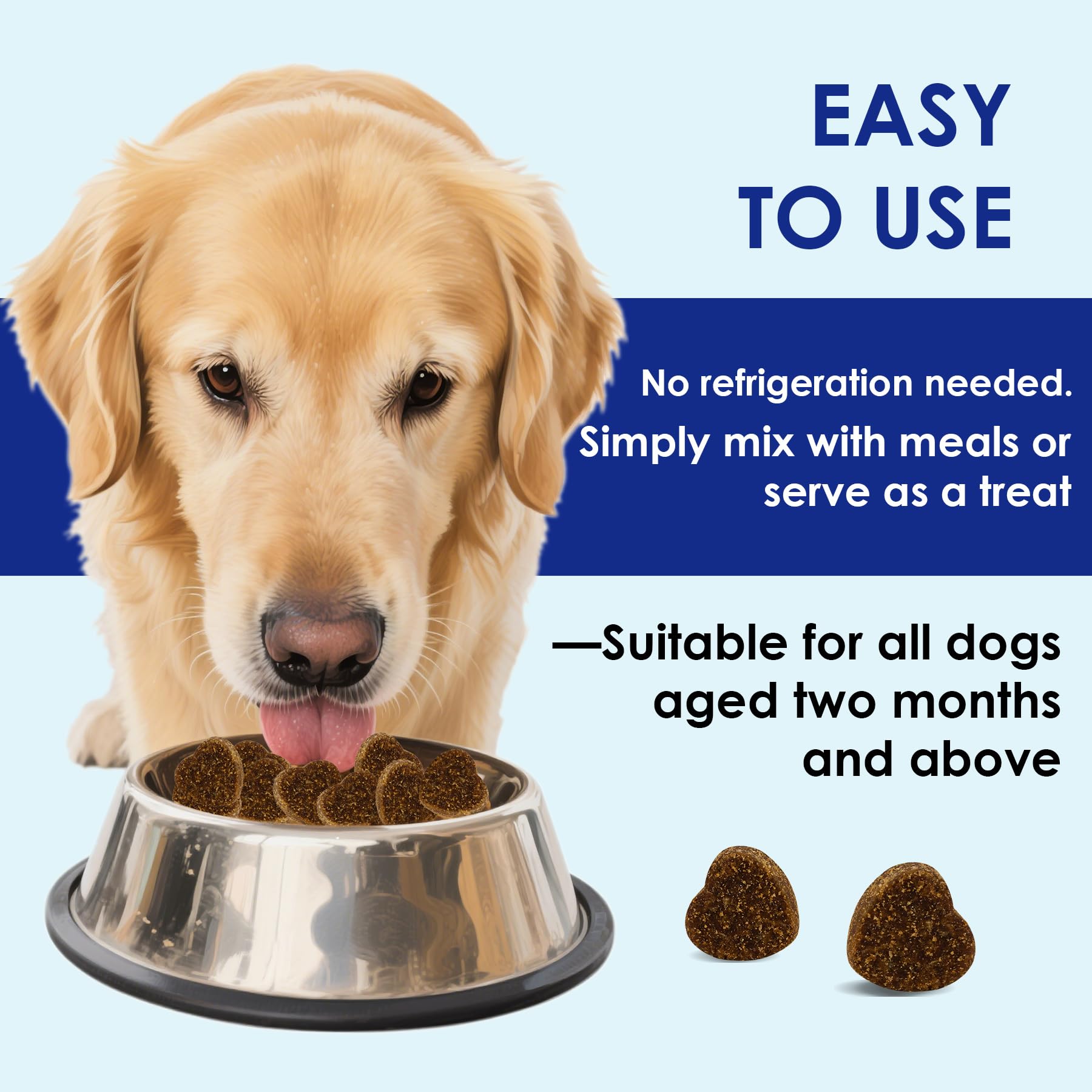 EVHH Probiotiques pour chiens – formulation avec enzymes et prébiotiques pour digestion efficace.