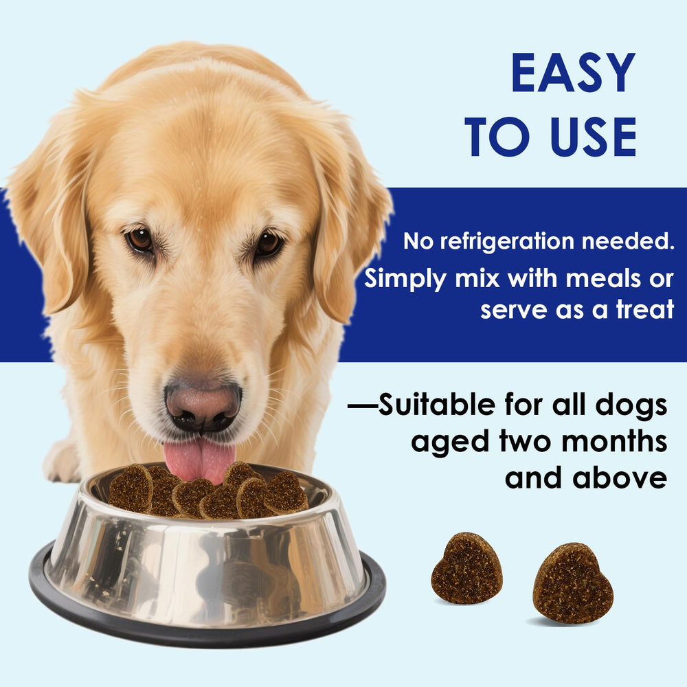 EVHH Probiotiques pour chiens – formulation avec enzymes et prébiotiques pour digestion efficace.