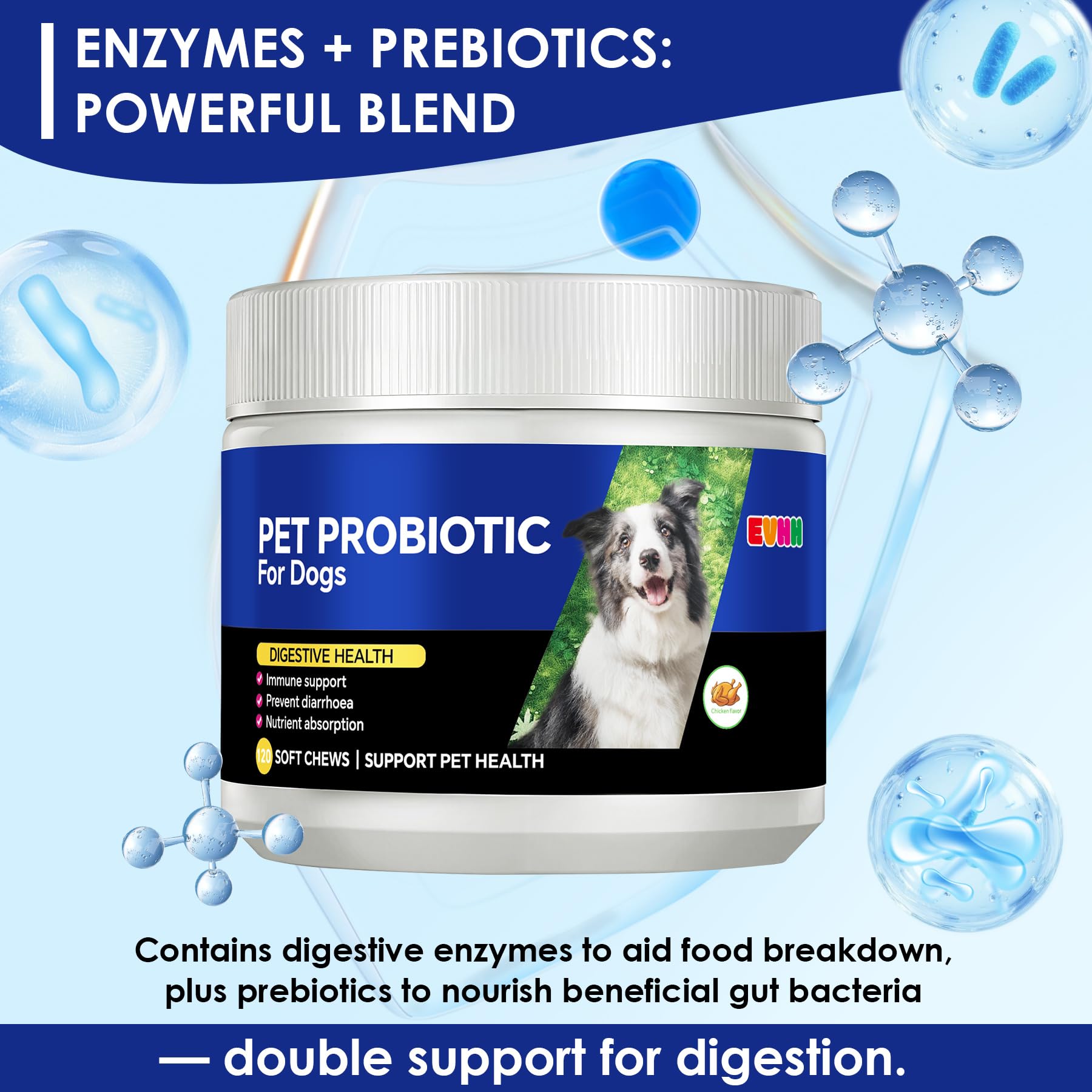 EVHH Probiotiques pour chiens – immunité et équilibre intestinal.