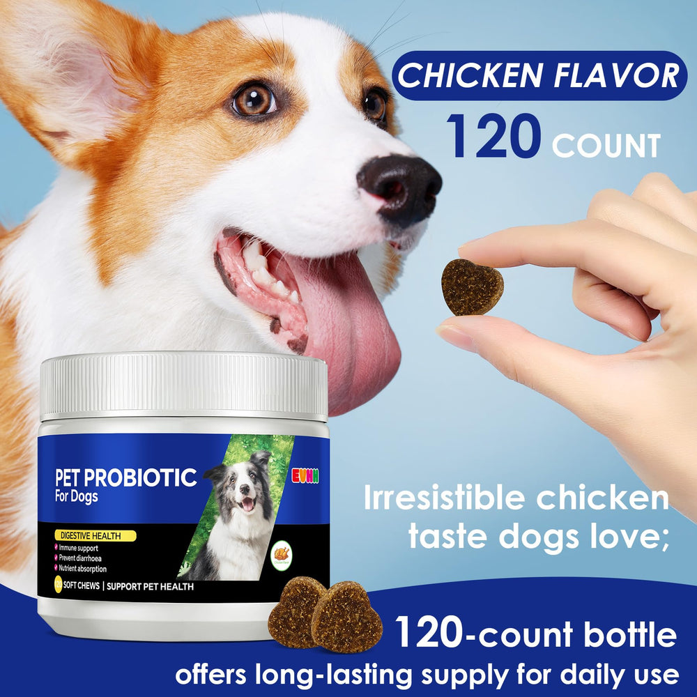EVHH Probiotiques pour chiens – relief diarrhée, flore intestinale équilibrée.