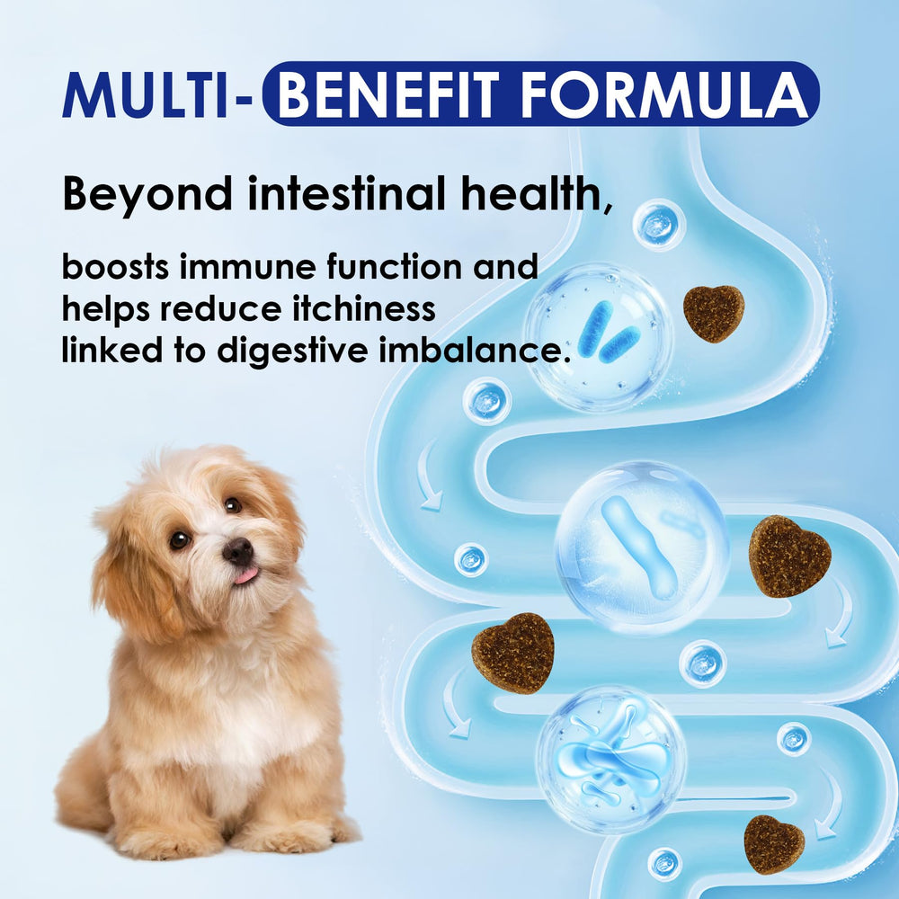 EVHH Probiotiques pour chiens – utilisation facile: mélanger aux repas ou servir comme friandise.
