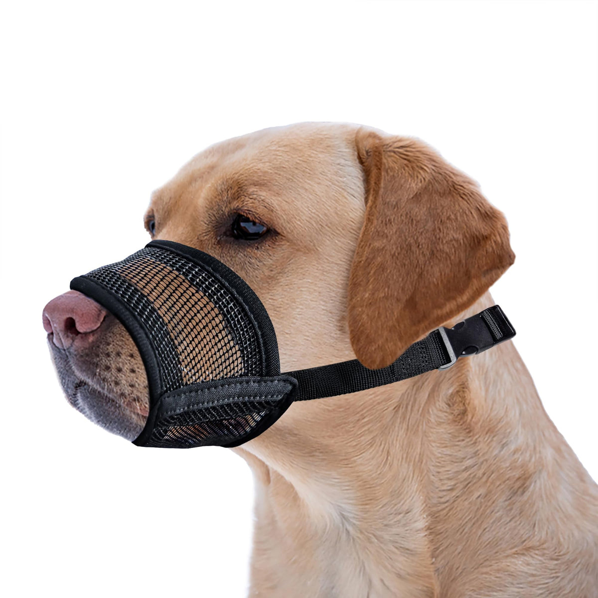 Evollax museau chien maillage aérien xl pour une respirabilité durable