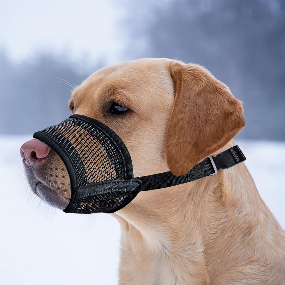 Evollax museau chien respiration naturelle et hydratation sans restriction