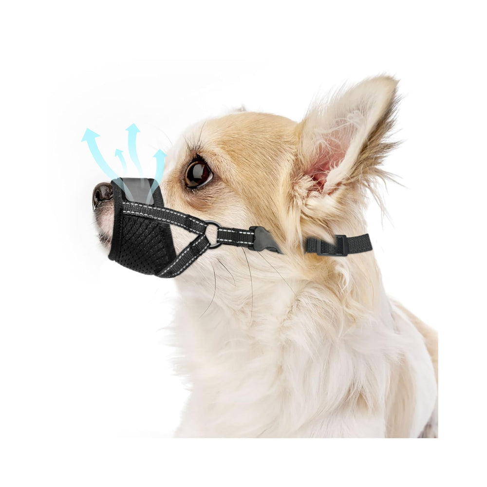 Évollax Muzzle Petit Chien avec mesh respirable offrant ventilation optimale.