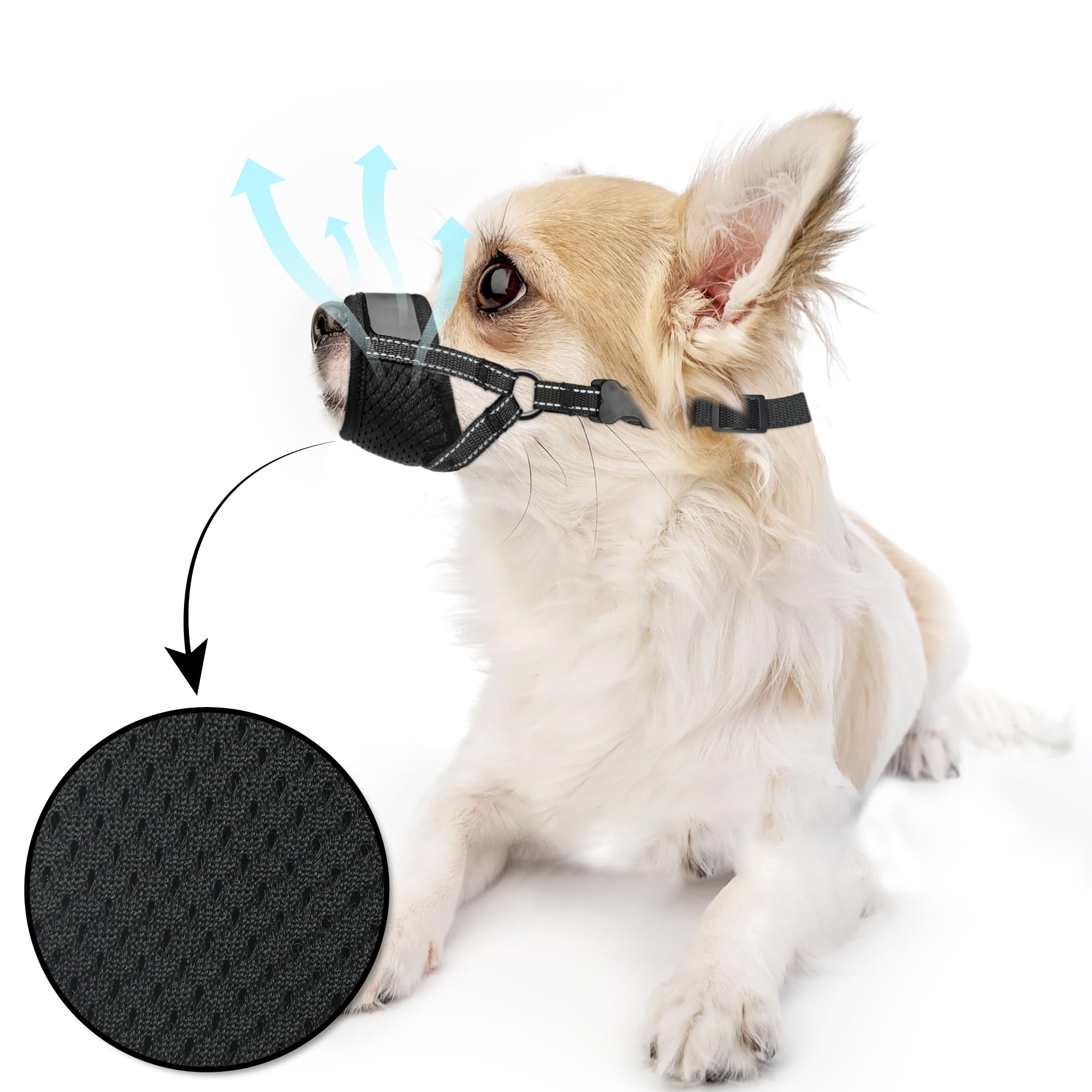 Évollax Muzzle Petit Chien se nettoie facilement après l’usage.
