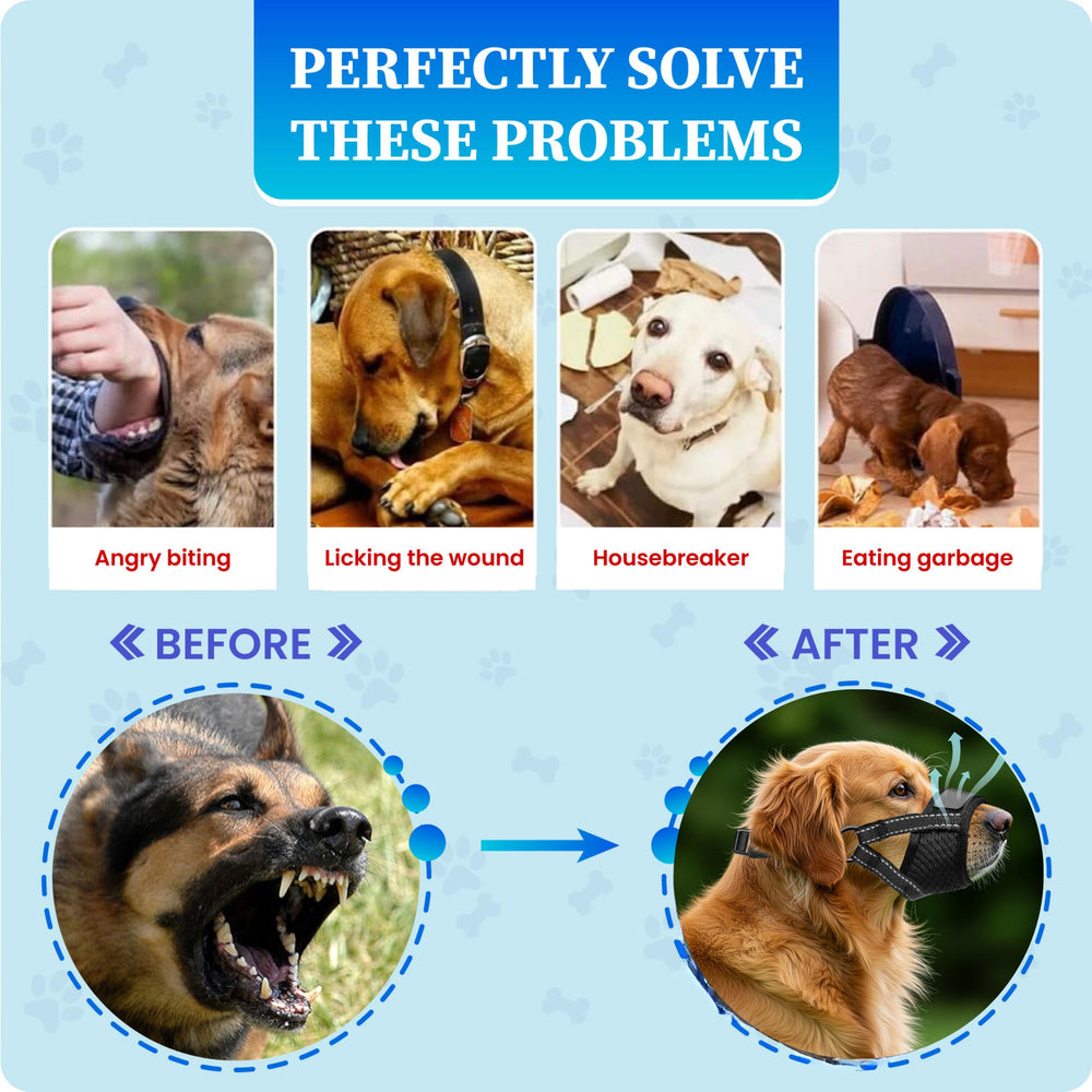 Évollax Muzzle Petit Chien utilisé en toilettage pour une sécurité accrue.