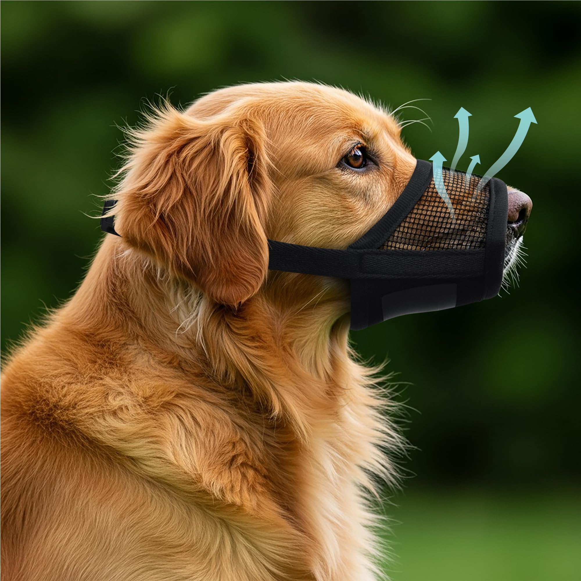 Evollax muselière pour chien Extra Large, vue ouverte, ventilation améliorée pour le confort prolongé.