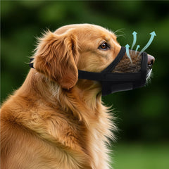 Evollax muselière pour chien Extra Large, vue ouverte, ventilation améliorée pour le confort prolongé.