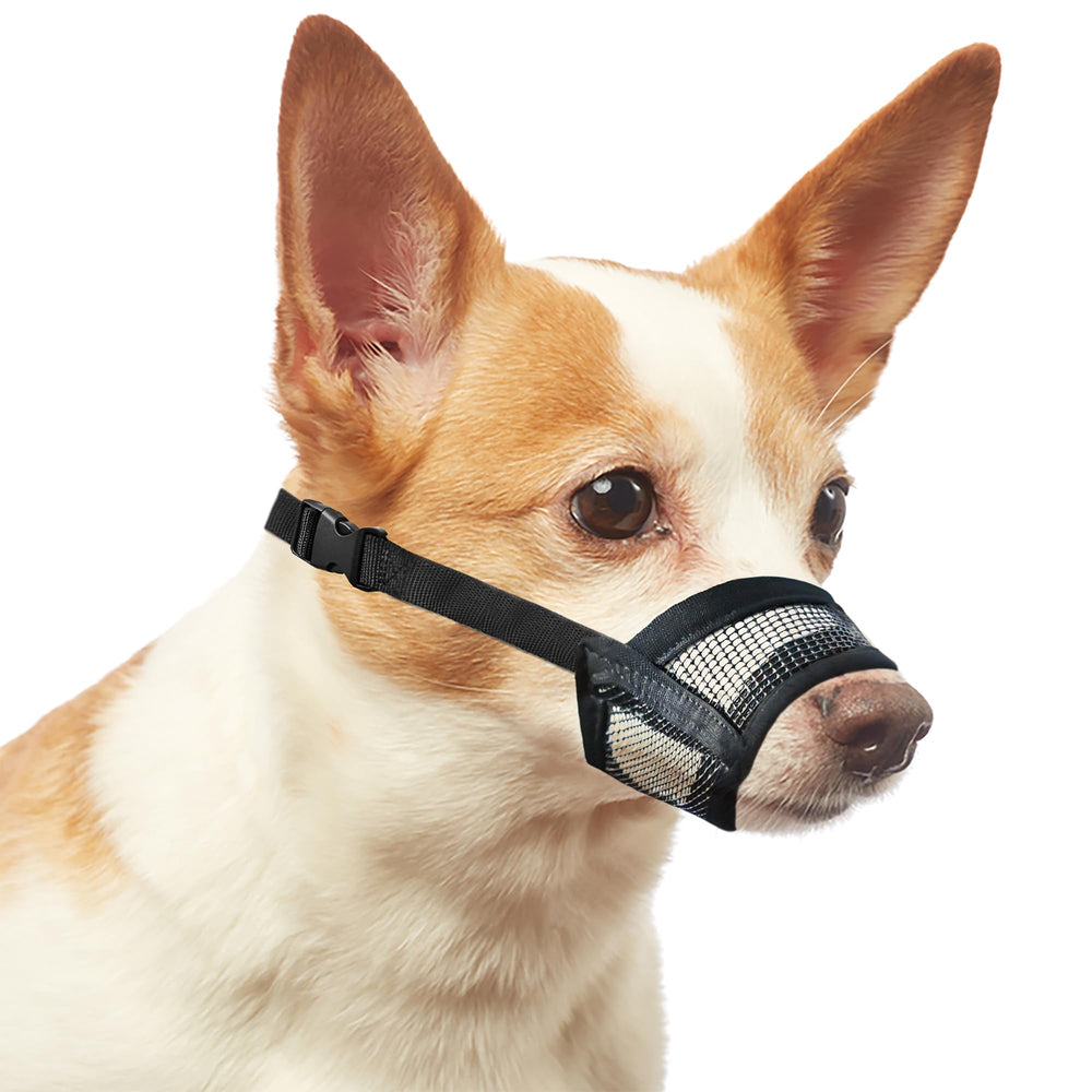 Evollax muselière pour chien petit, mesh respirant pour un confort durable.