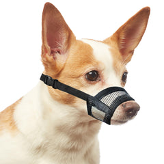 Evollax muselière pour chien petit, mesh respirant pour un confort durable.