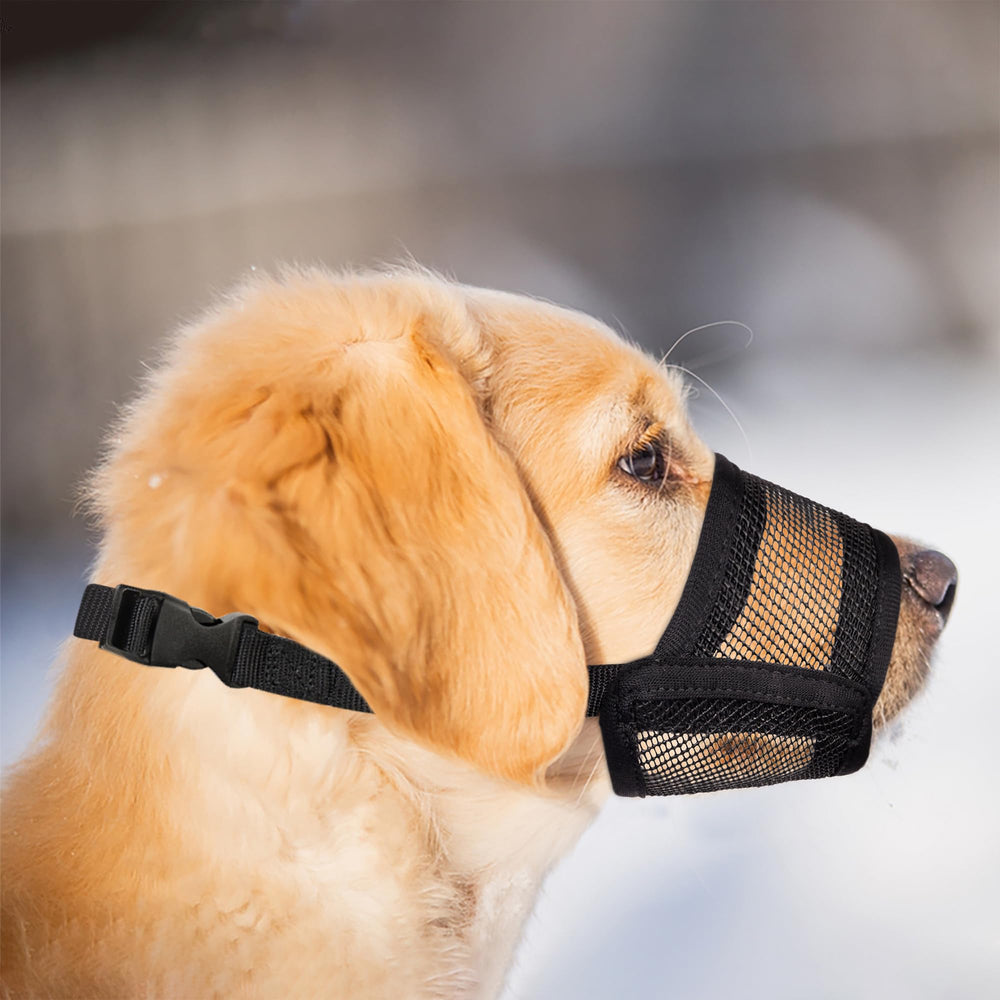 Evollax muselière pour chien petit, utilisation polyvalente en promenade et voyage.
