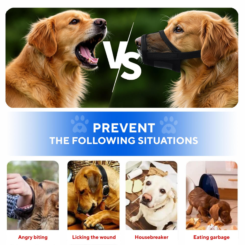 Muselière légère et durable pour petits chiens en déplacement.